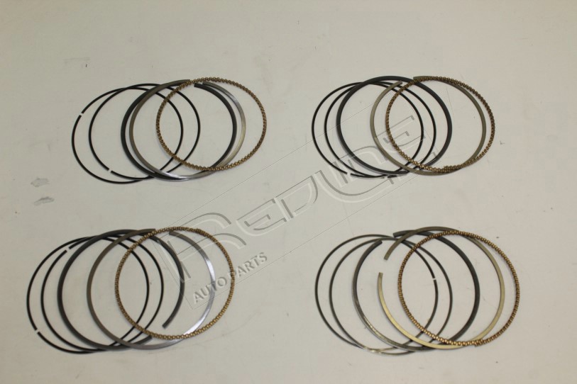 Kit fasce elastiche REDLINE 04NI064