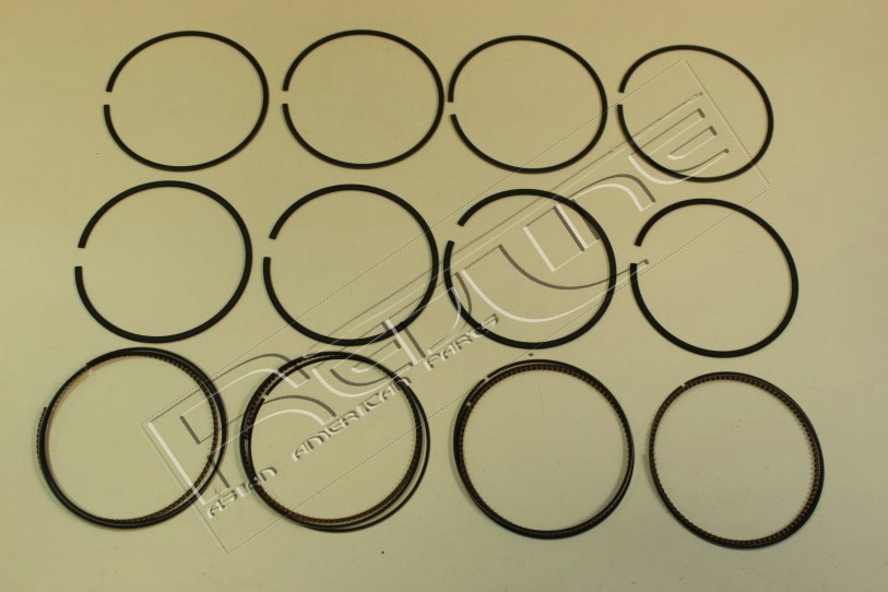 Kit fasce elastiche REDLINE 04NI070