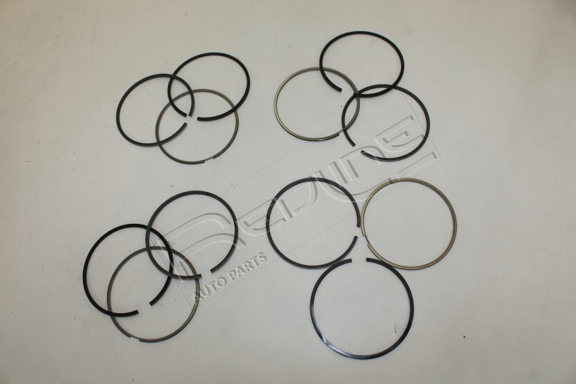 Kit fasce elastiche REDLINE 04NI075