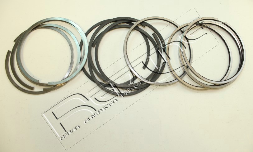 Kit fasce elastiche REDLINE 04RV004