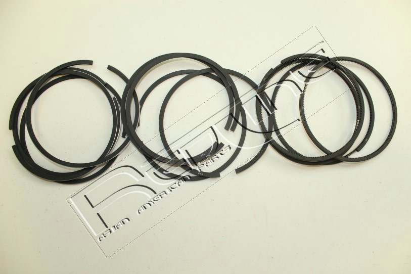Kit fasce elastiche REDLINE 04RV005