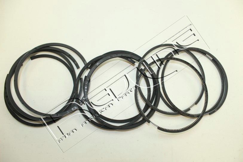 Kit fasce elastiche REDLINE 04RV008