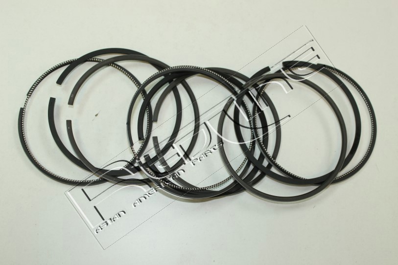 Kit fasce elastiche REDLINE 04SM009