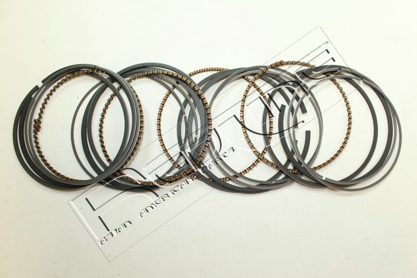 Kit fasce elastiche REDLINE 04SU009