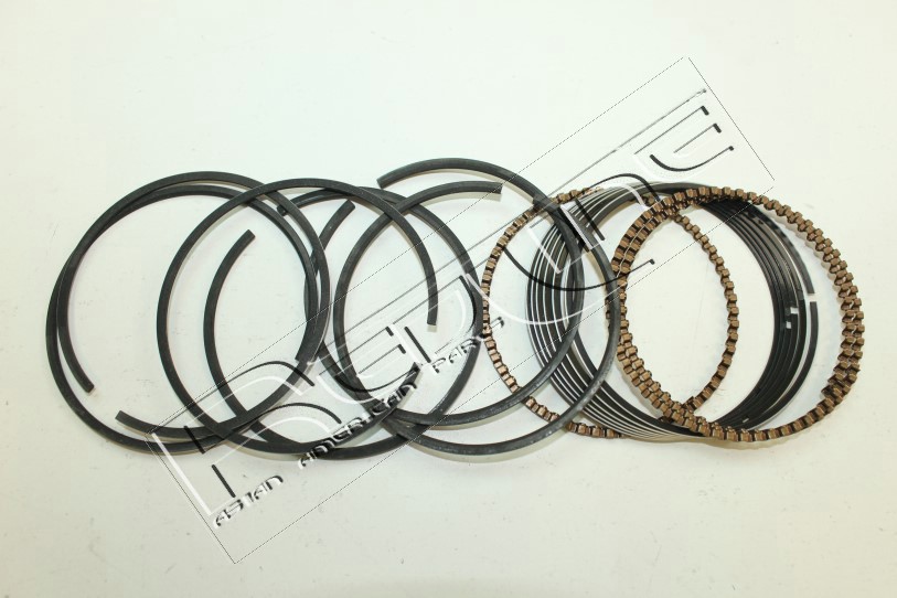 Kit fasce elastiche REDLINE 04SZ011
