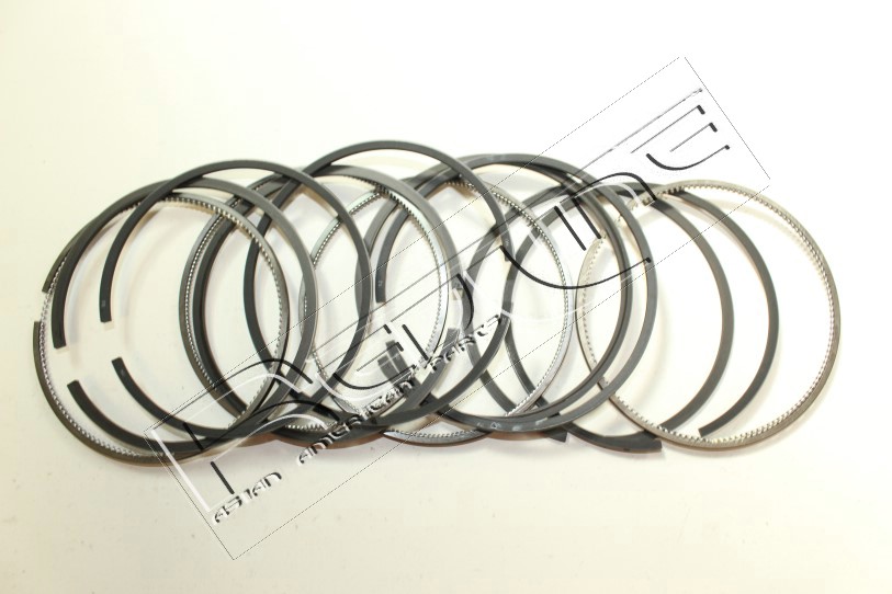 Kit fasce elastiche REDLINE 04SZ019