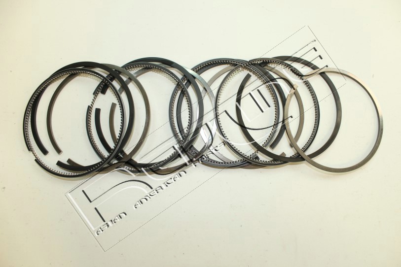 Kit fasce elastiche REDLINE 04SZ020