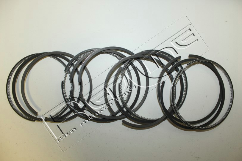 Kit fasce elastiche REDLINE 04TO022