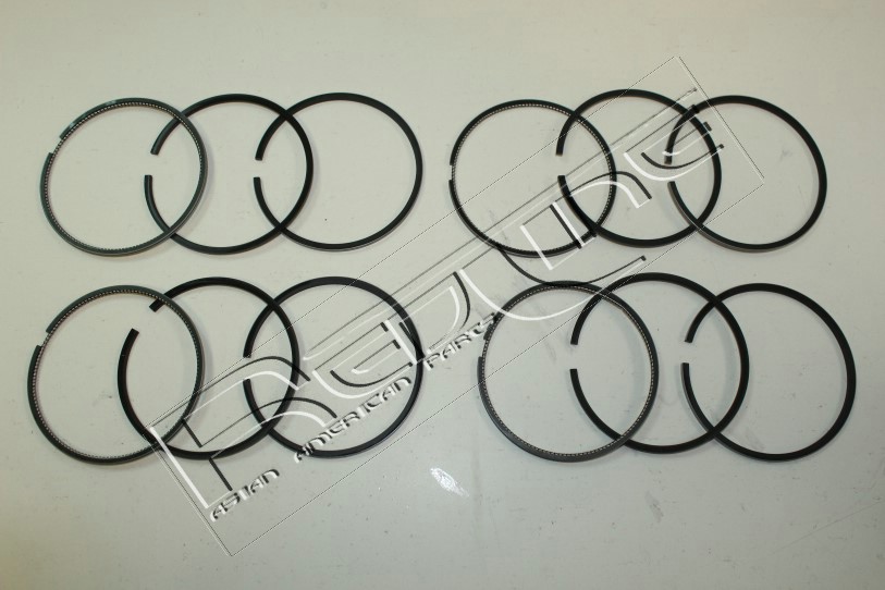 Kit fasce elastiche REDLINE 04TO025