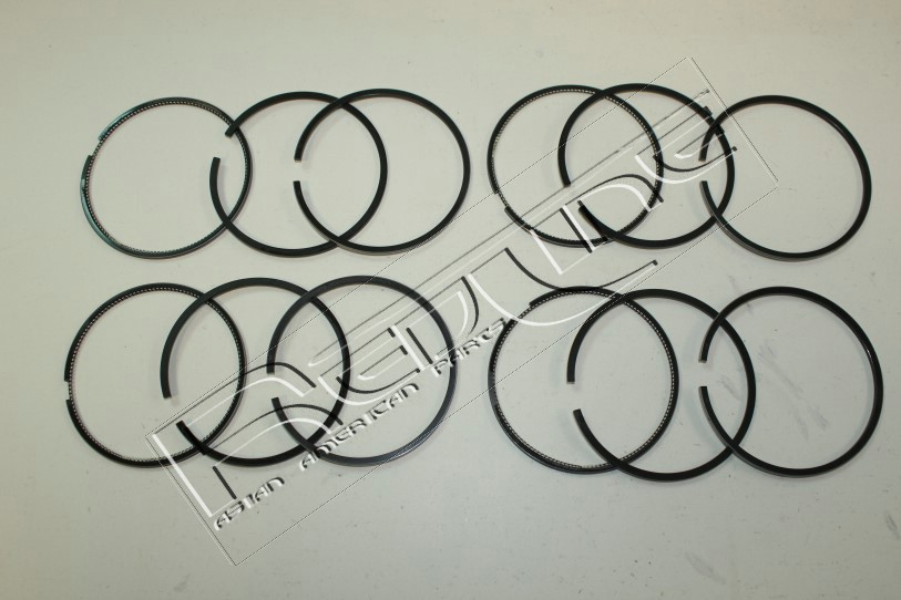 Kit fasce elastiche REDLINE 04TO026