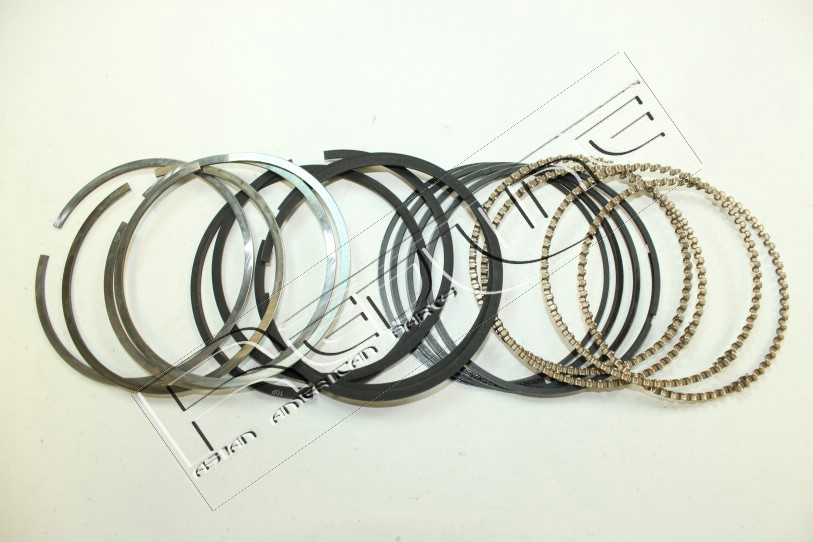 Kit fasce elastiche REDLINE 04TO029