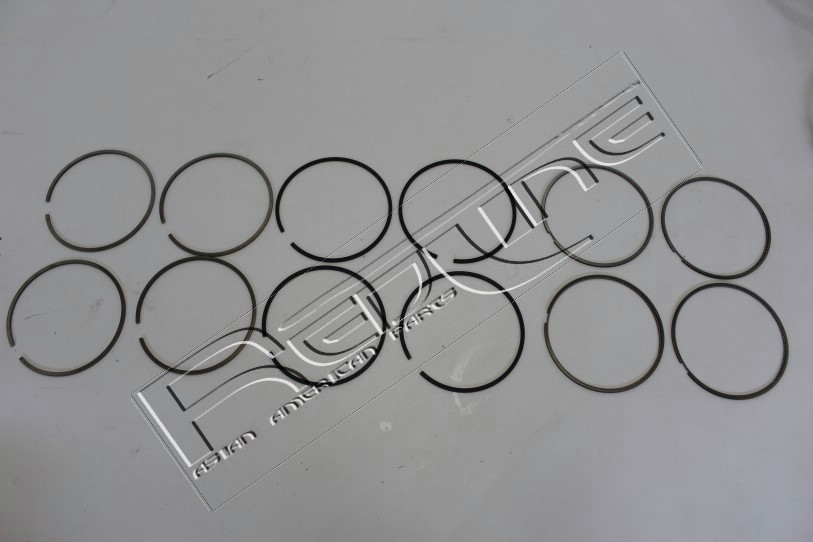 Kit fasce elastiche REDLINE 04TO049