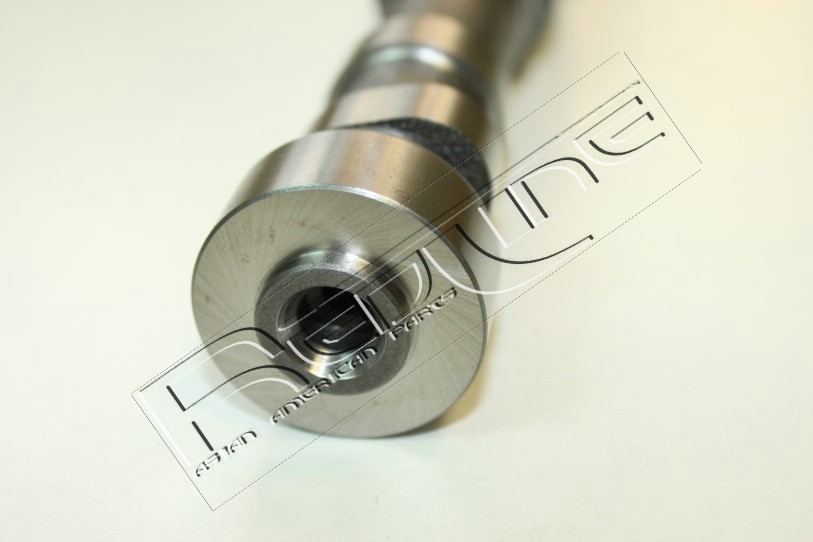 REDLINE ALBERO DISTRIBUZIONE