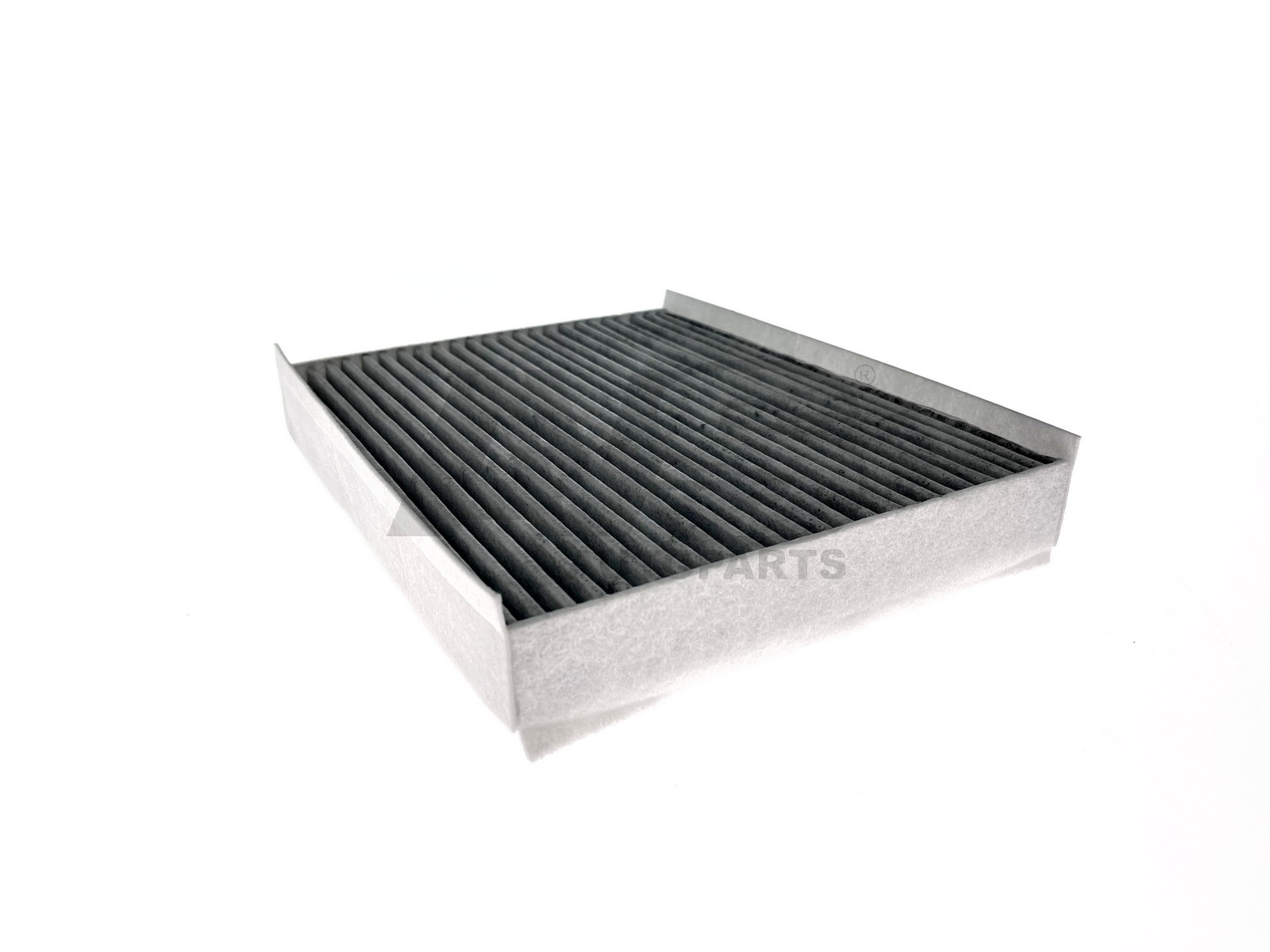 AVS F.ABIT. CARBONI ATTIVI FORD USA F-150