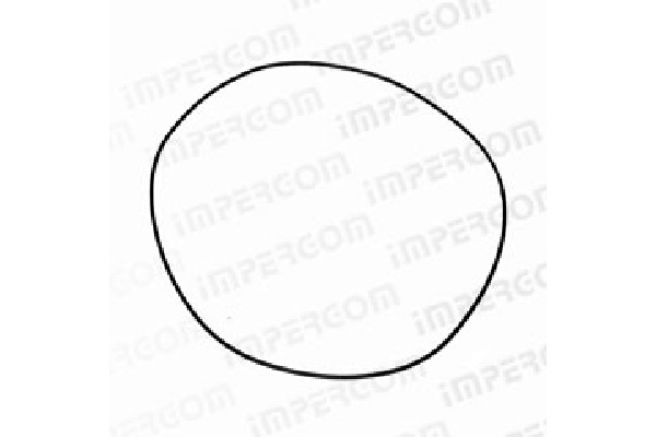 ANELLO TENUTA OLIO TRA SCATOLA CAMBI