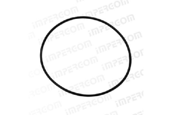 ANELLO SULLA FLANGIA POSTERIORE CAMB