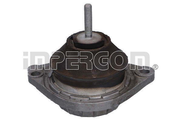 SUPPORTO DESTRO ANTERIORE MOTORE (BI