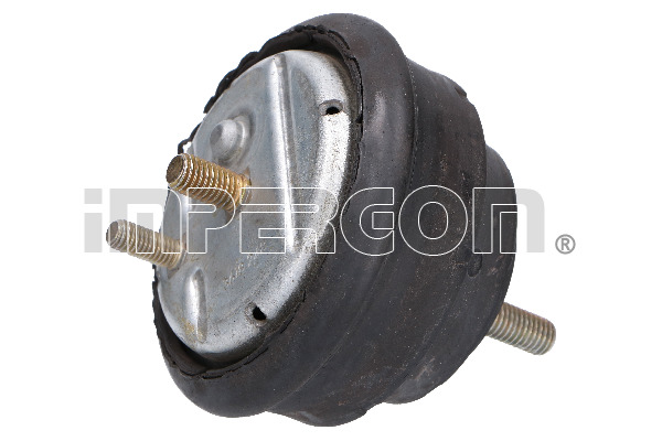 SUPPORTO MOTORE DX BMW