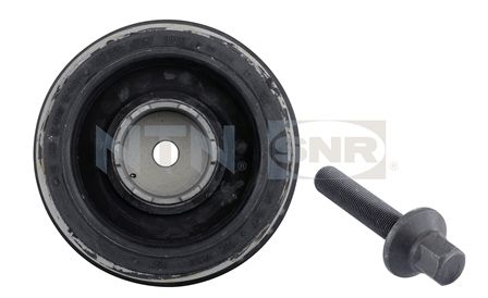 Puleggia cinghia, albero a gomiti NTN-SNR DPF350.01K1