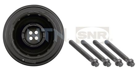 Puleggia cinghia, albero a gomiti NTN-SNR DPF350.06K1