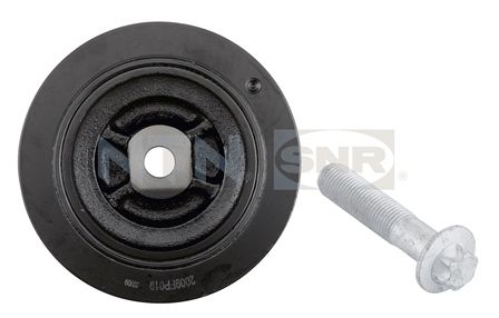 Puleggia cinghia, albero a gomiti NTN-SNR DPF355.20K1