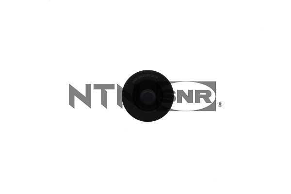 Galoppino/guidacinghia, cinghia poly-v NTN-SNR GA352.69
