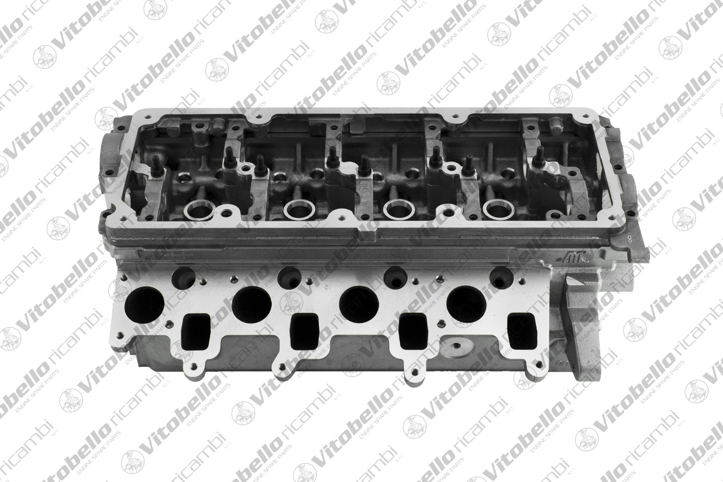 Testata VITOBELLO 1000076N