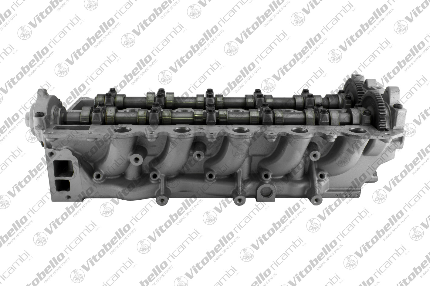 Testata VITOBELLO 1000086R