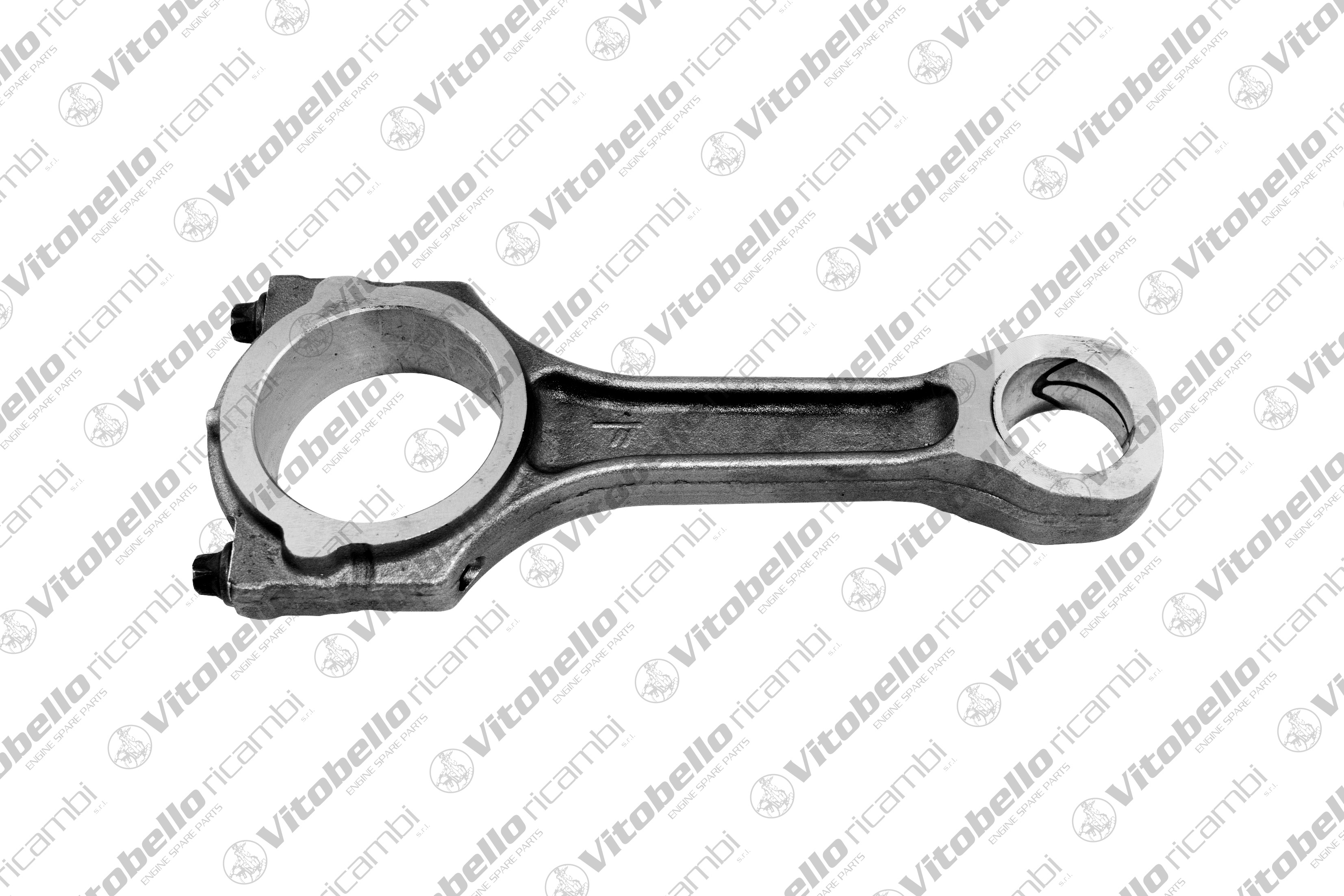 VITOBELLO BIELLA FORD 4HU