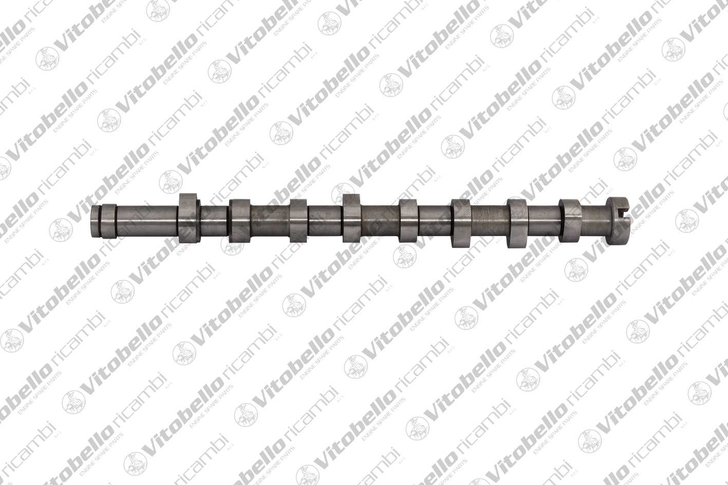 VITOBELLO ALBERO A CAMME PEUGEOT 9H06