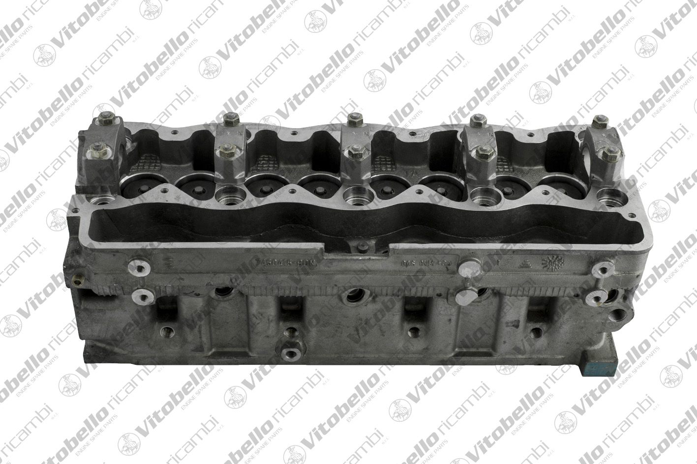 Testata VITOBELLO 1001003NO