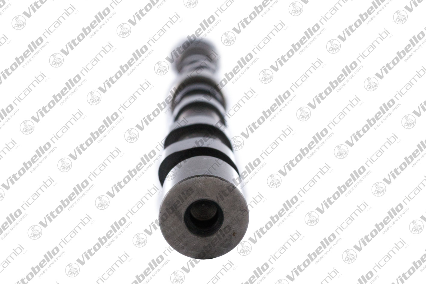VITOBELLO ALBERO A CAMME IN FIAT F1CE