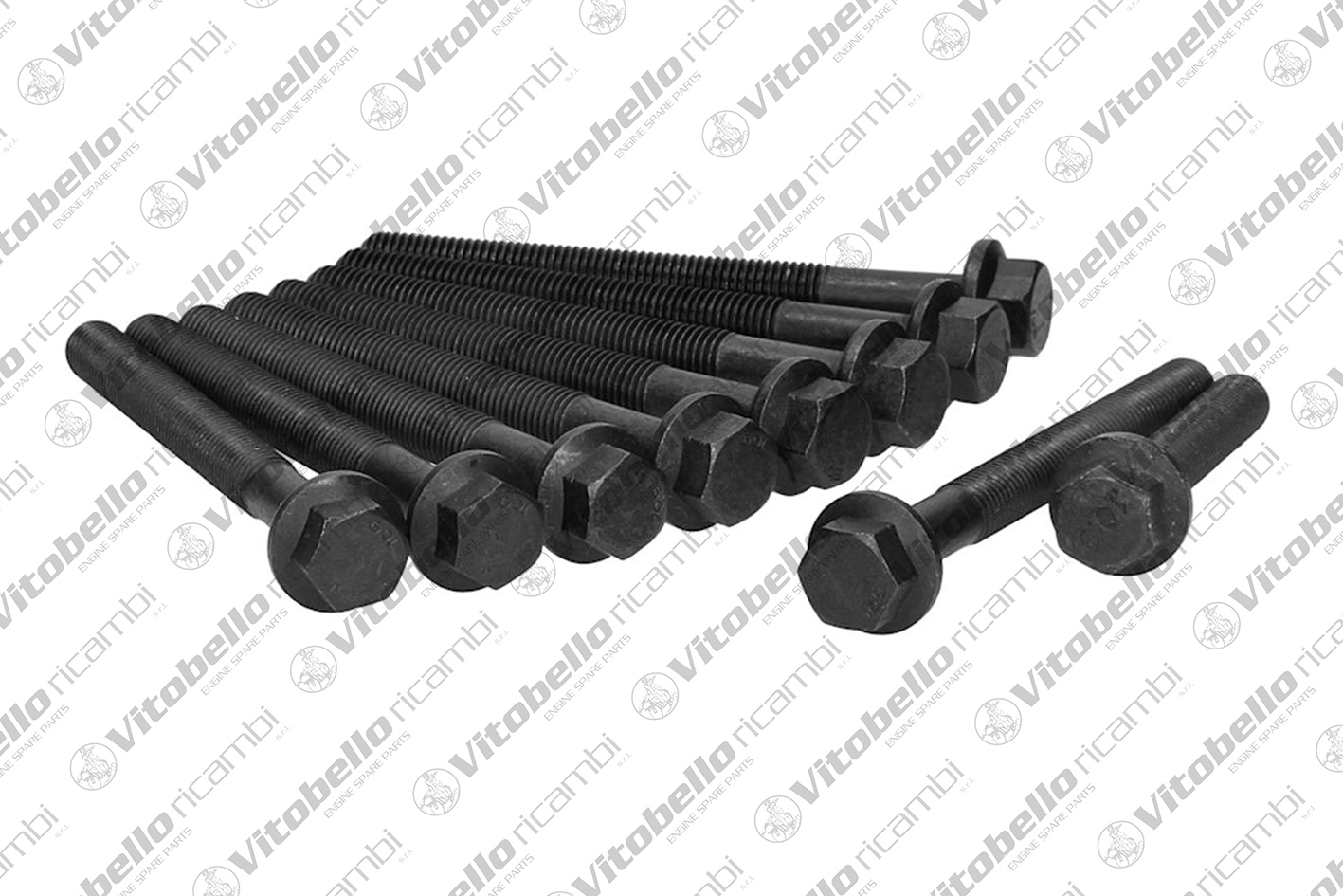 Kit bulloni testata VITOBELLO 1001337N