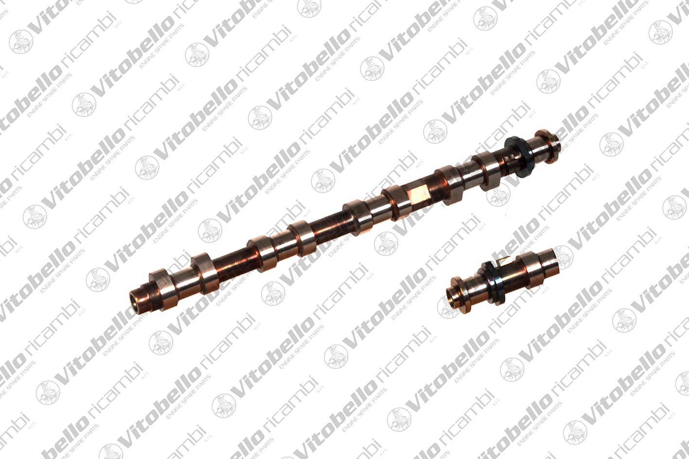 Albero a camme VITOBELLO 1001451N