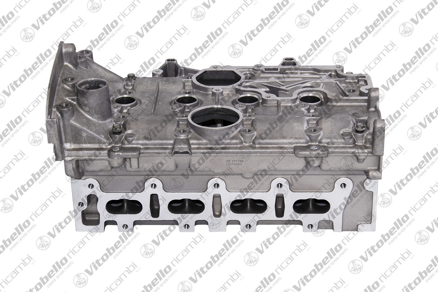 Testata VITOBELLO 1001658N