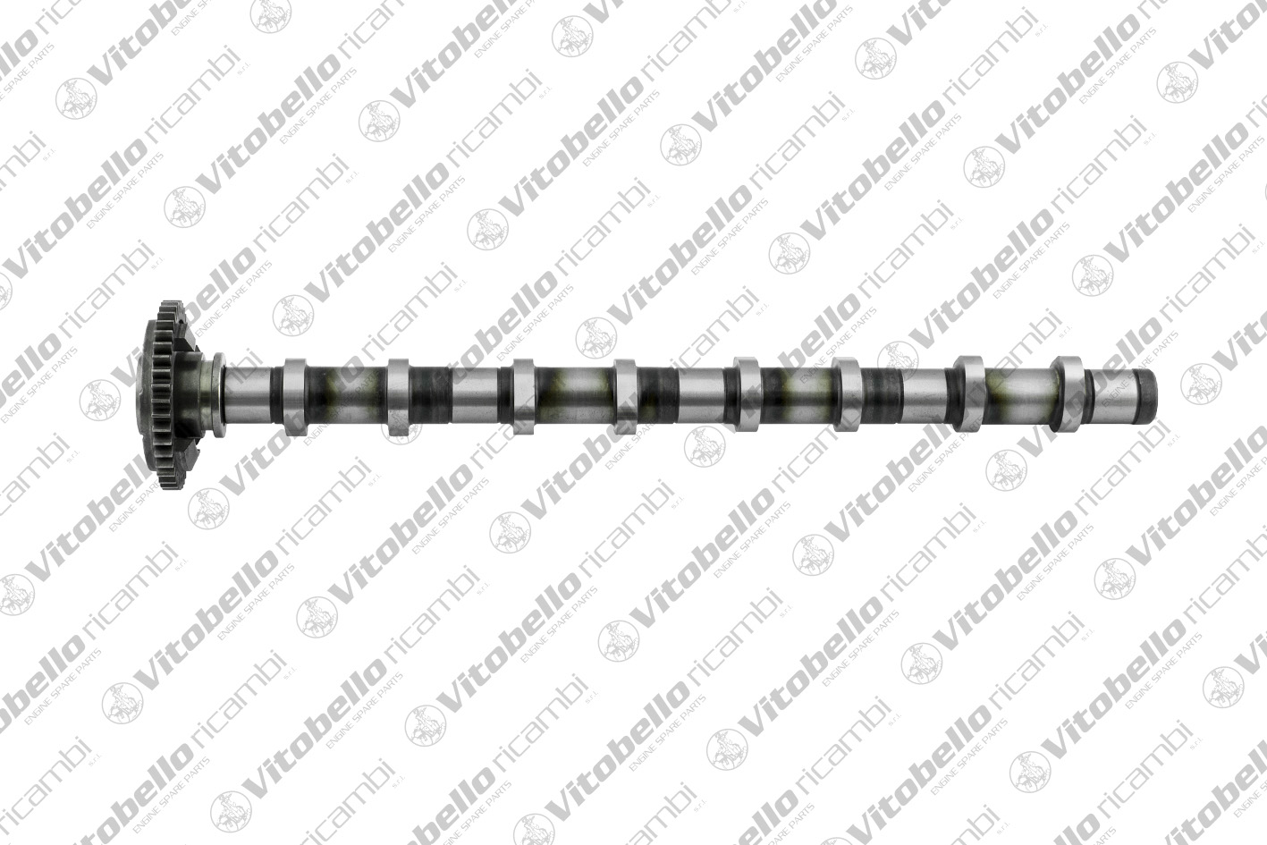 VITOBELLO ALBERO A CAMME IN BMW N47D20A