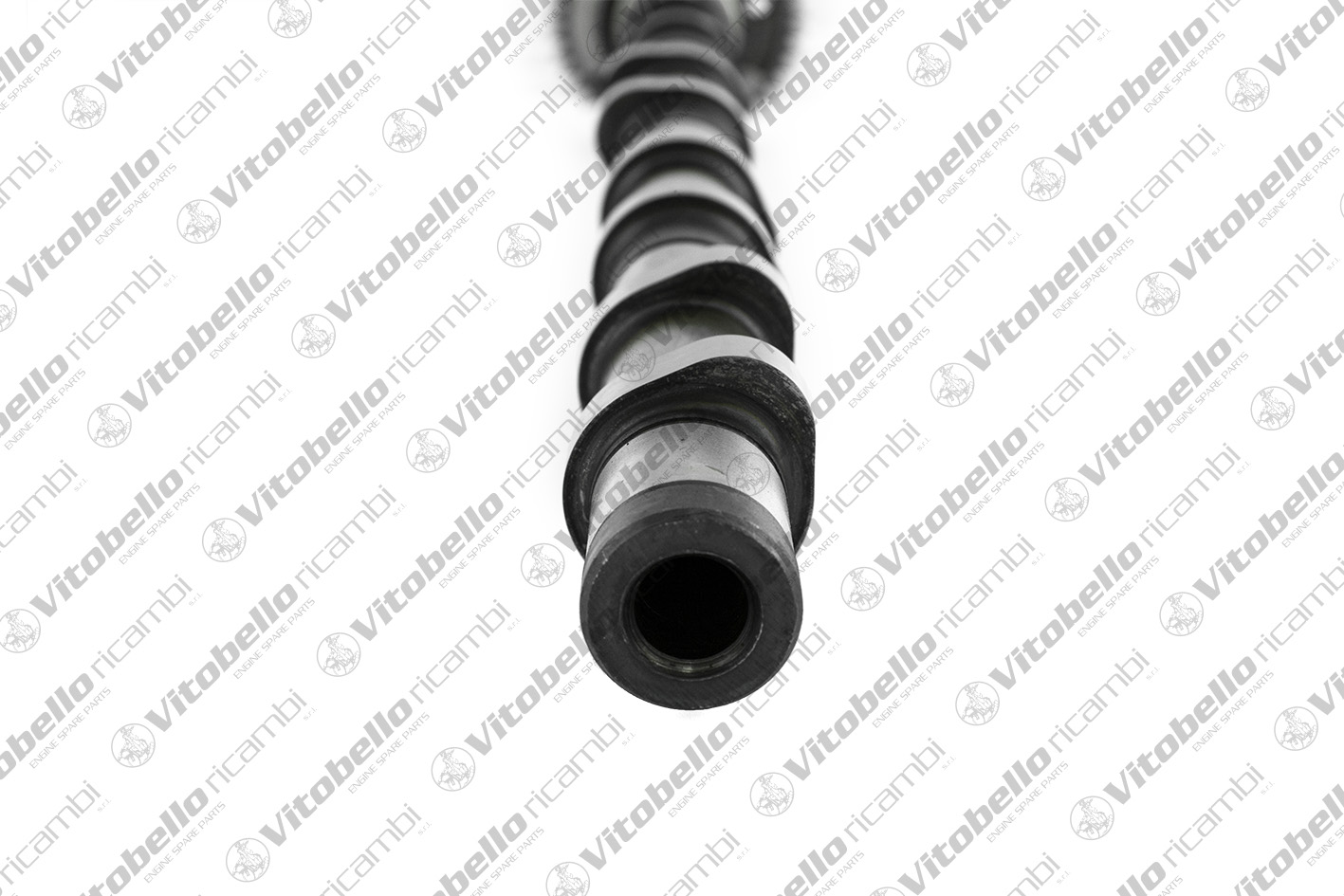 VITOBELLO ALBERO A CAMME IN BMW N47D20A