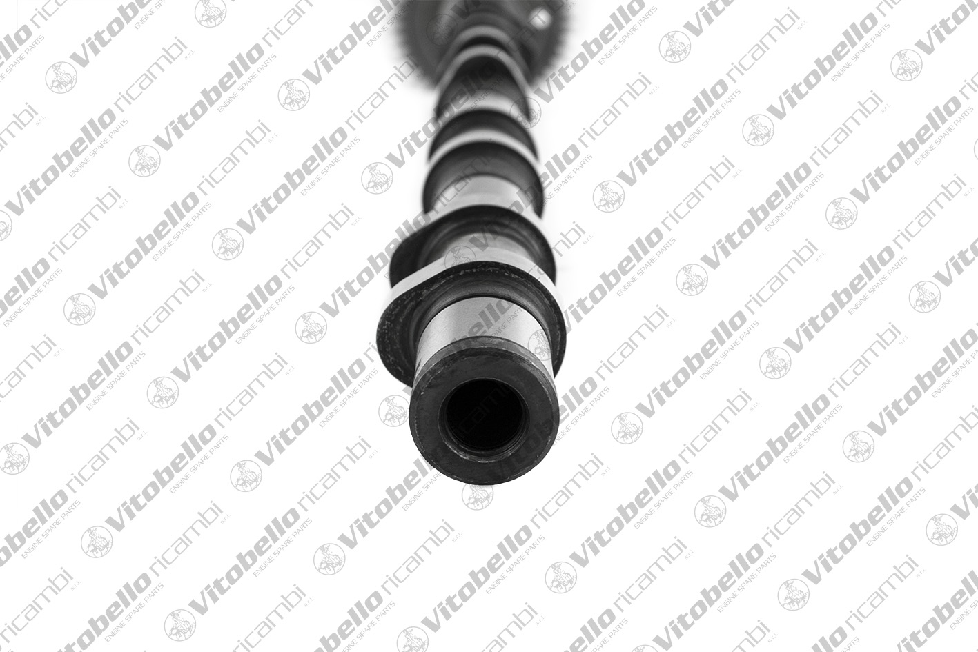VITOBELLO ALBERO A CAMME EX BMW N47D20A