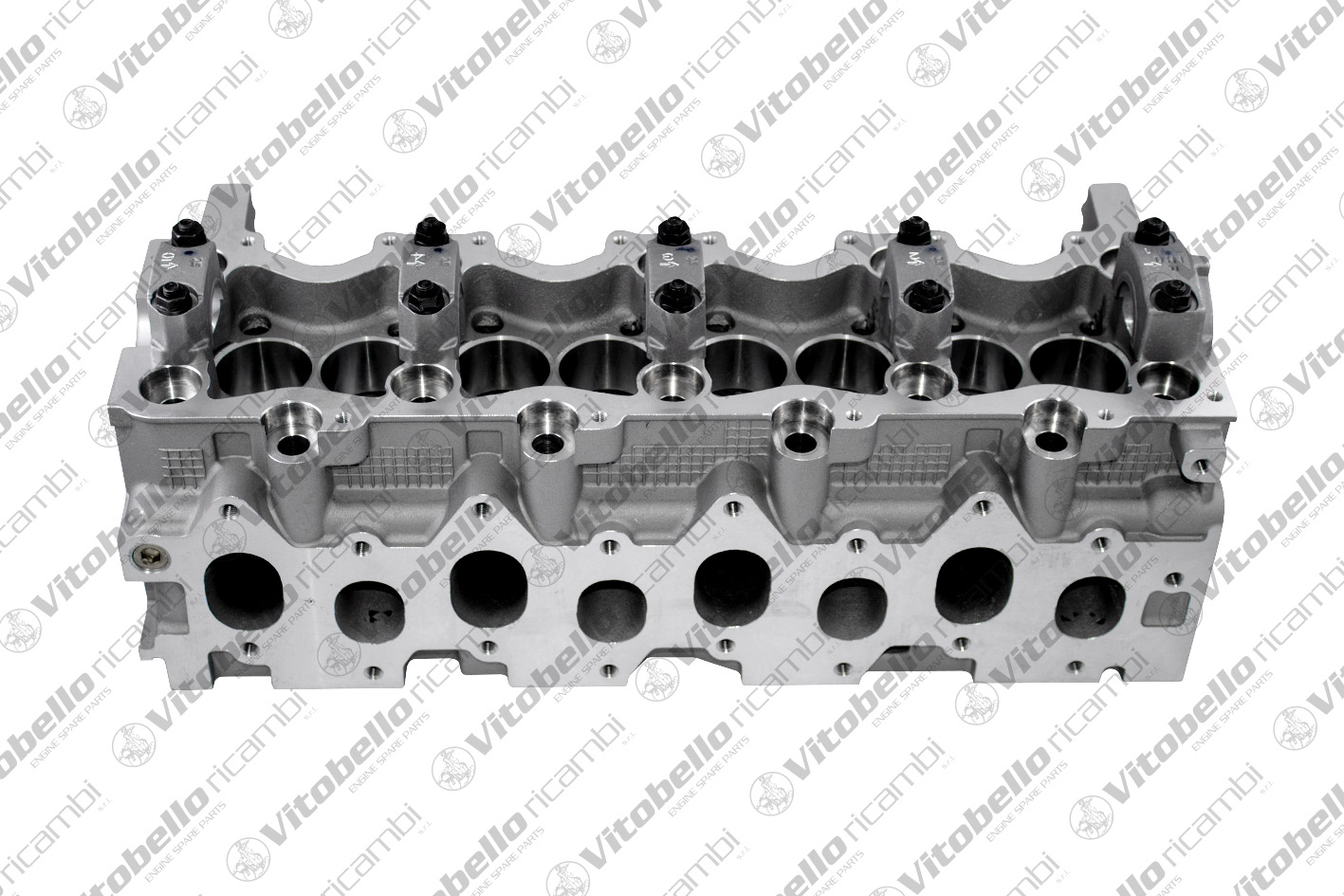 Testata VITOBELLO 1001784N