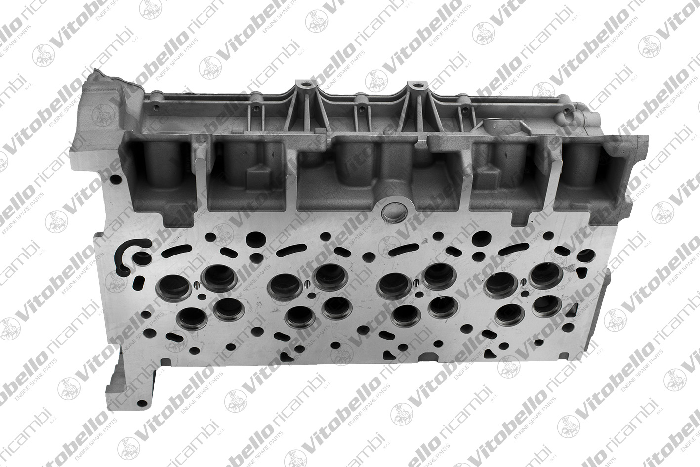 VITOBELLO TESTATA FORD 4HU
