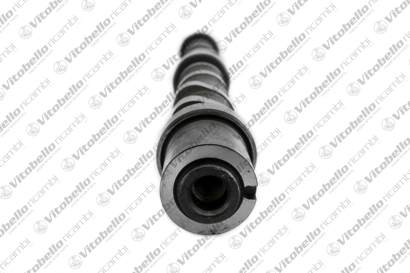 VITOBELLO ALBERO A CAMME IN FIAT F1AE