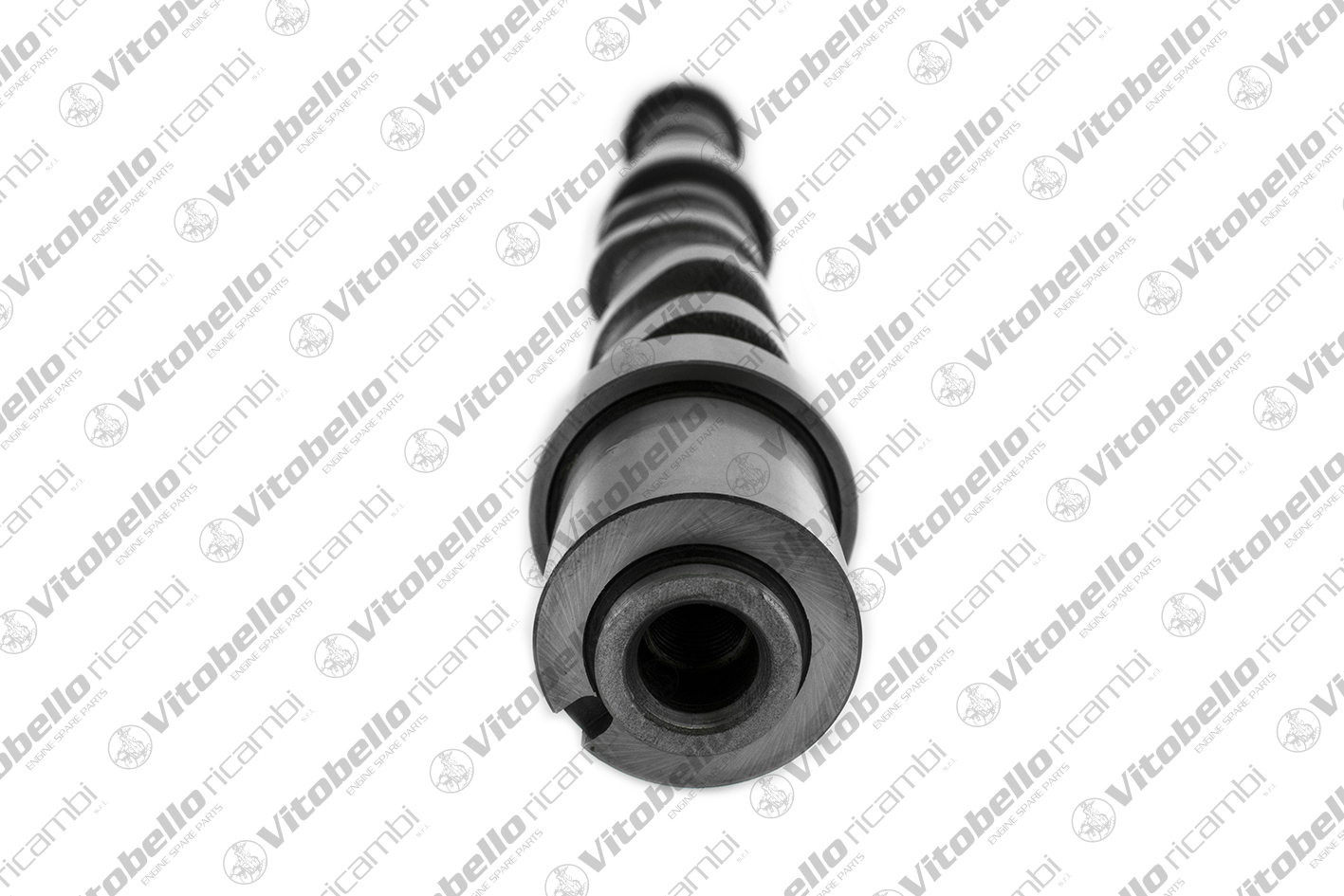 VITOBELLO ALBERO A CAMME EX FIAT F1AE