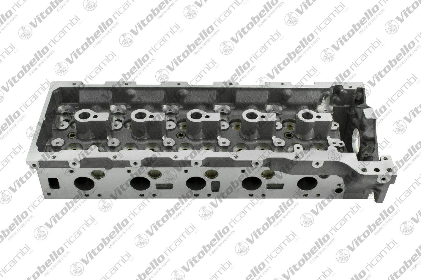 Testata VITOBELLO 1002298N