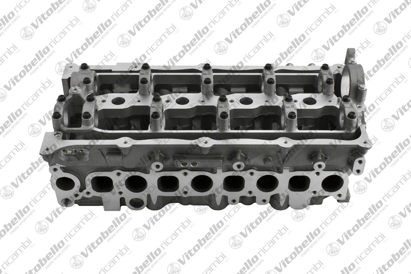 Testata VITOBELLO 1002573N