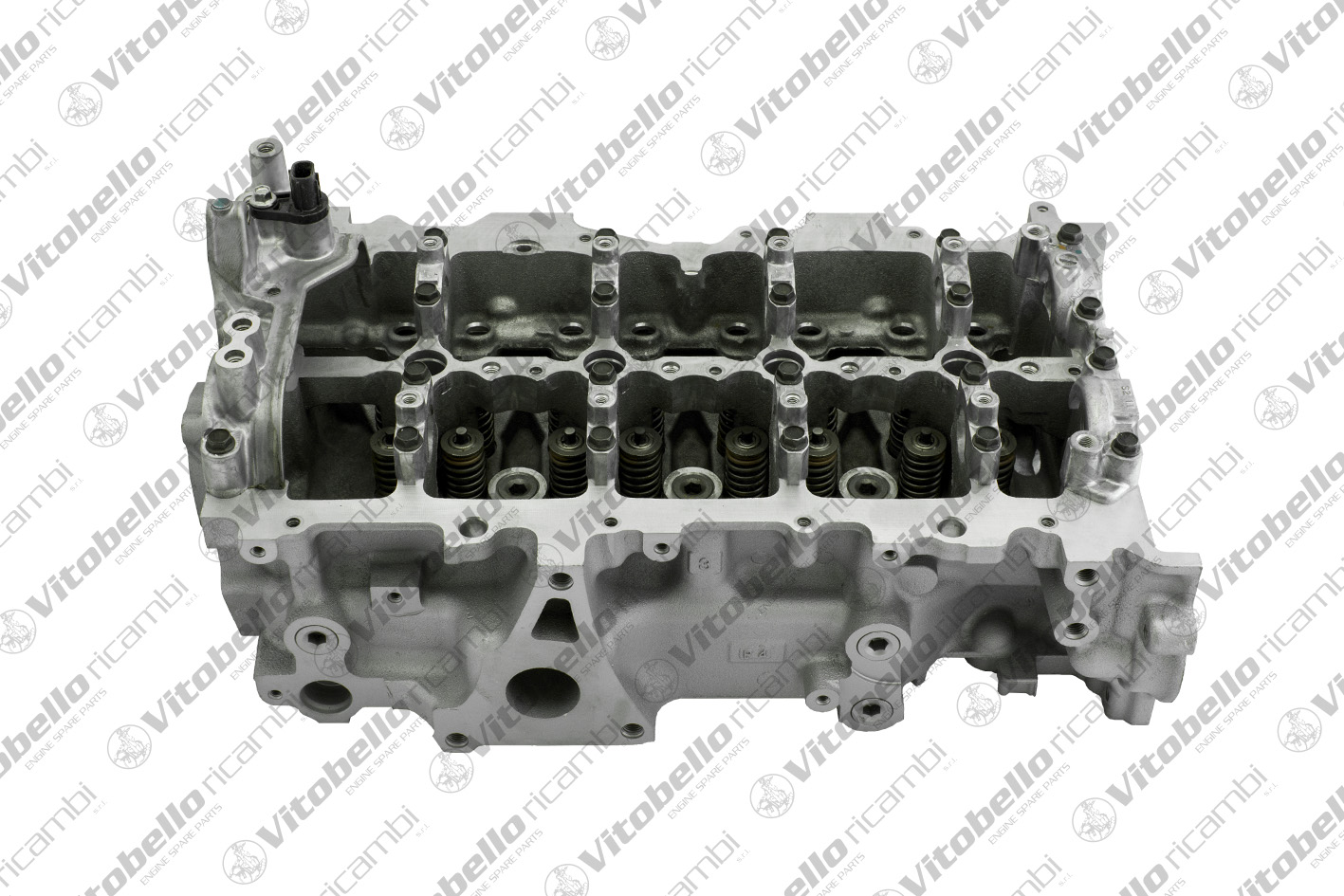 Testata VITOBELLO 1002815R