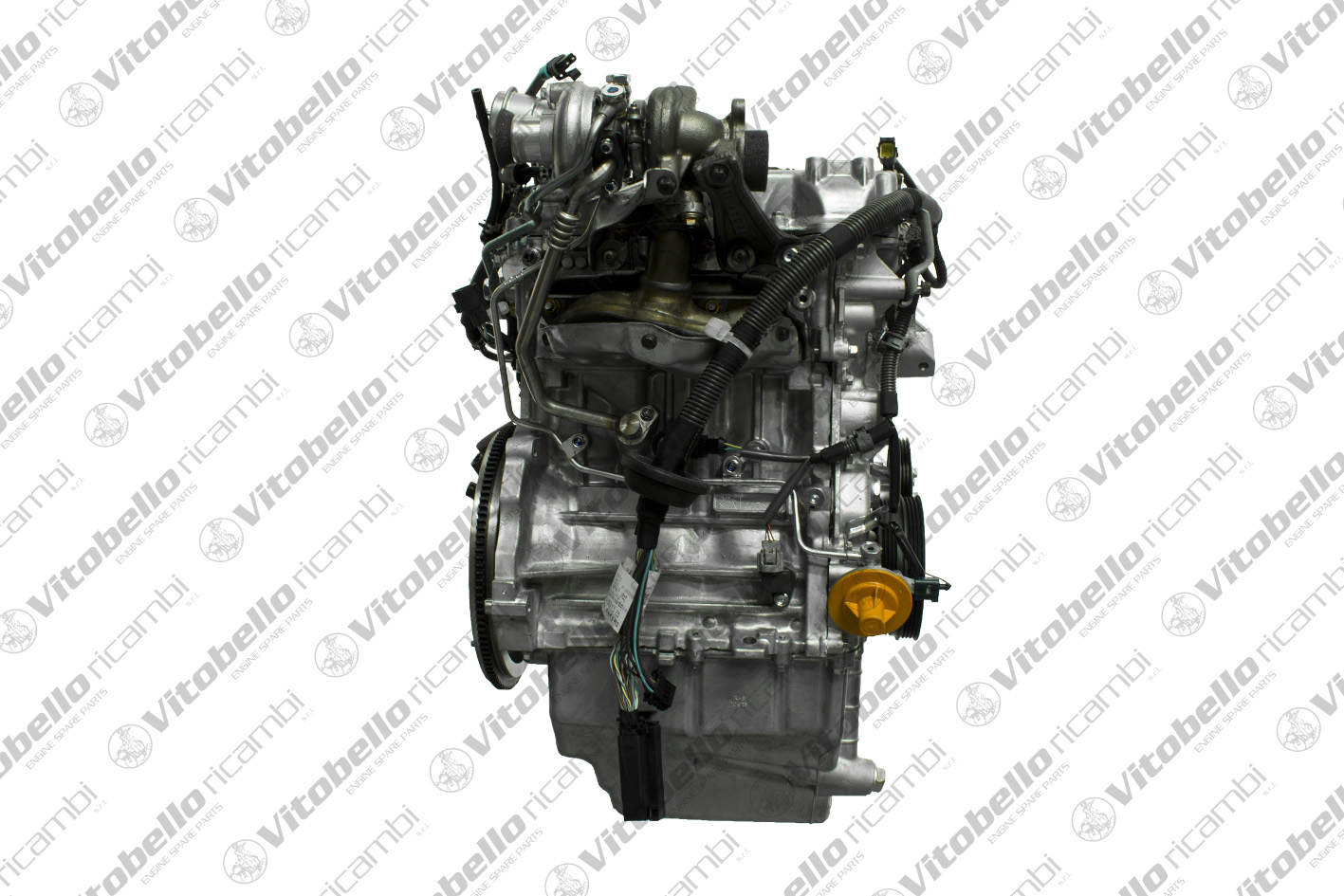 Motore completo VITOBELLO 1003088NO