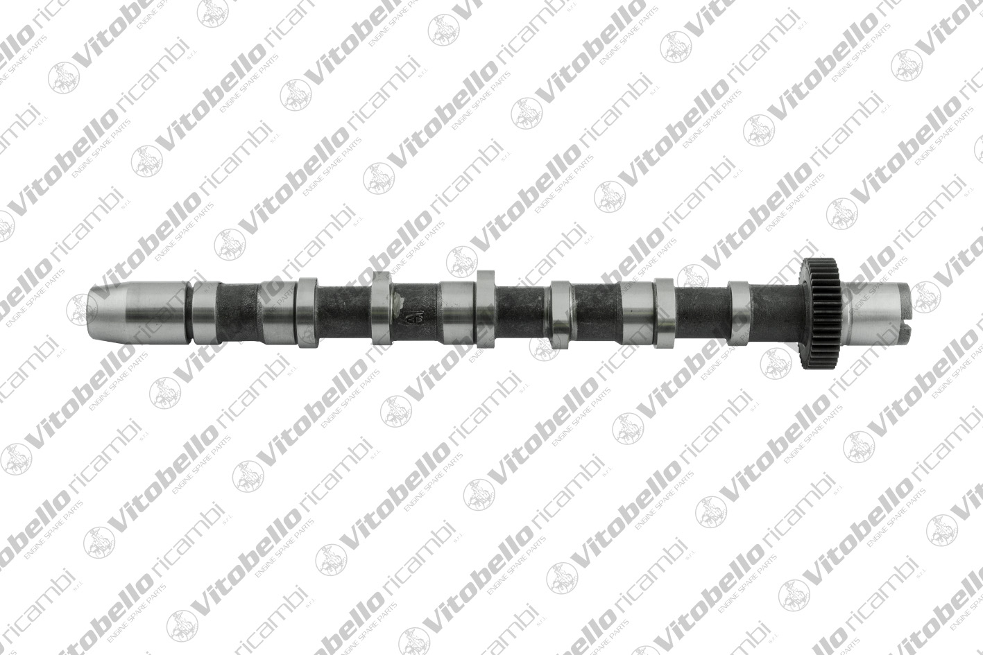 Albero a camme VITOBELLO 1003231N