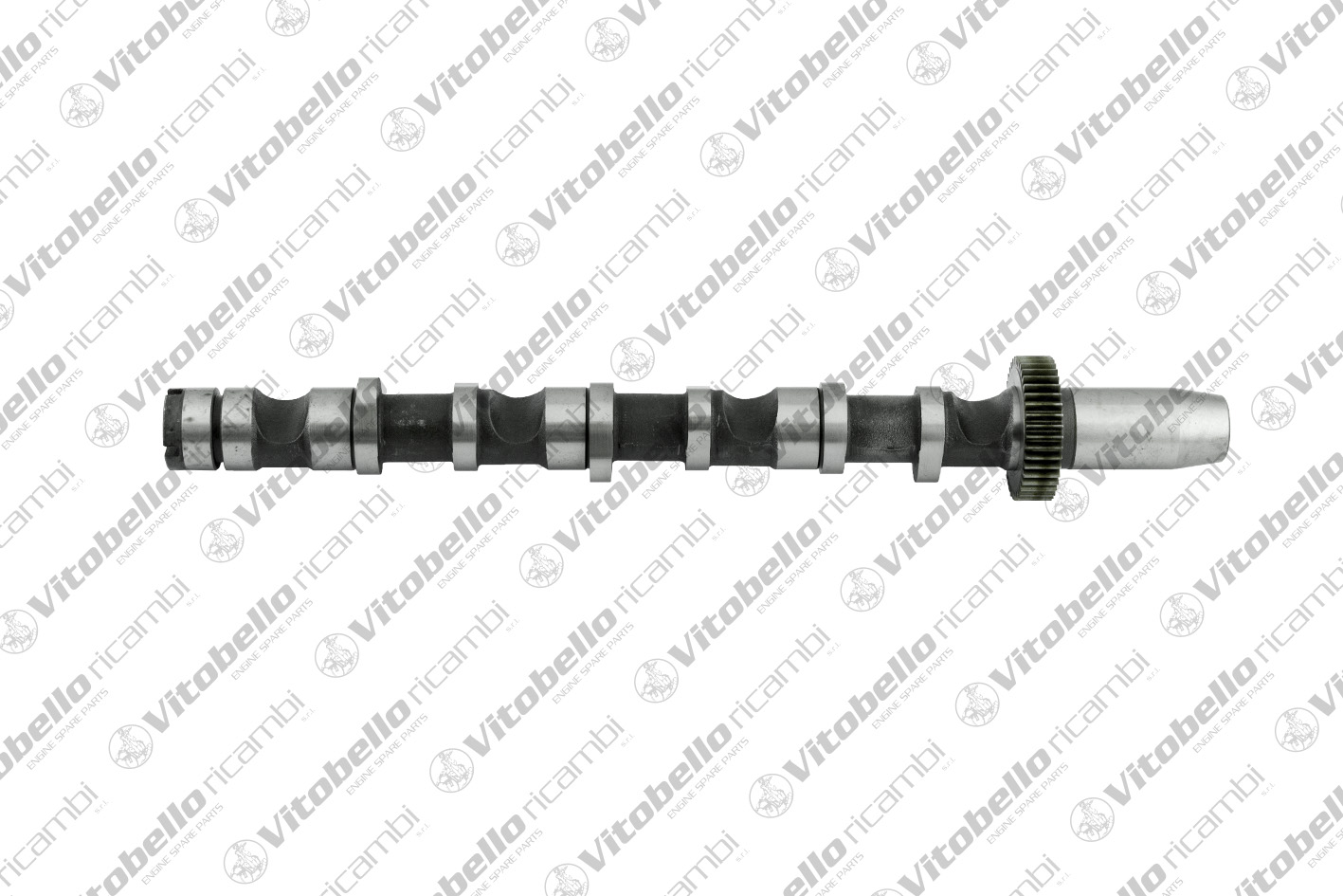 Albero a camme VITOBELLO 1003233N