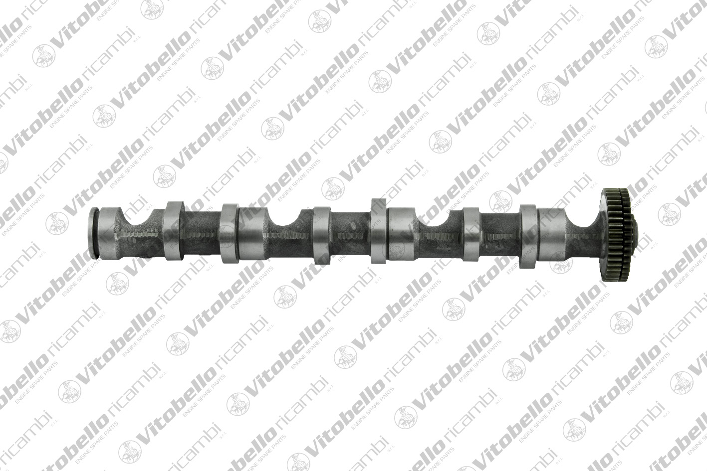 Albero a camme VITOBELLO 1003234N