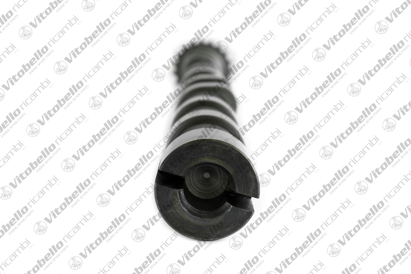 VITOBELLO ALBERO A CAMME IN PEUGEOT-CITROEN AH03